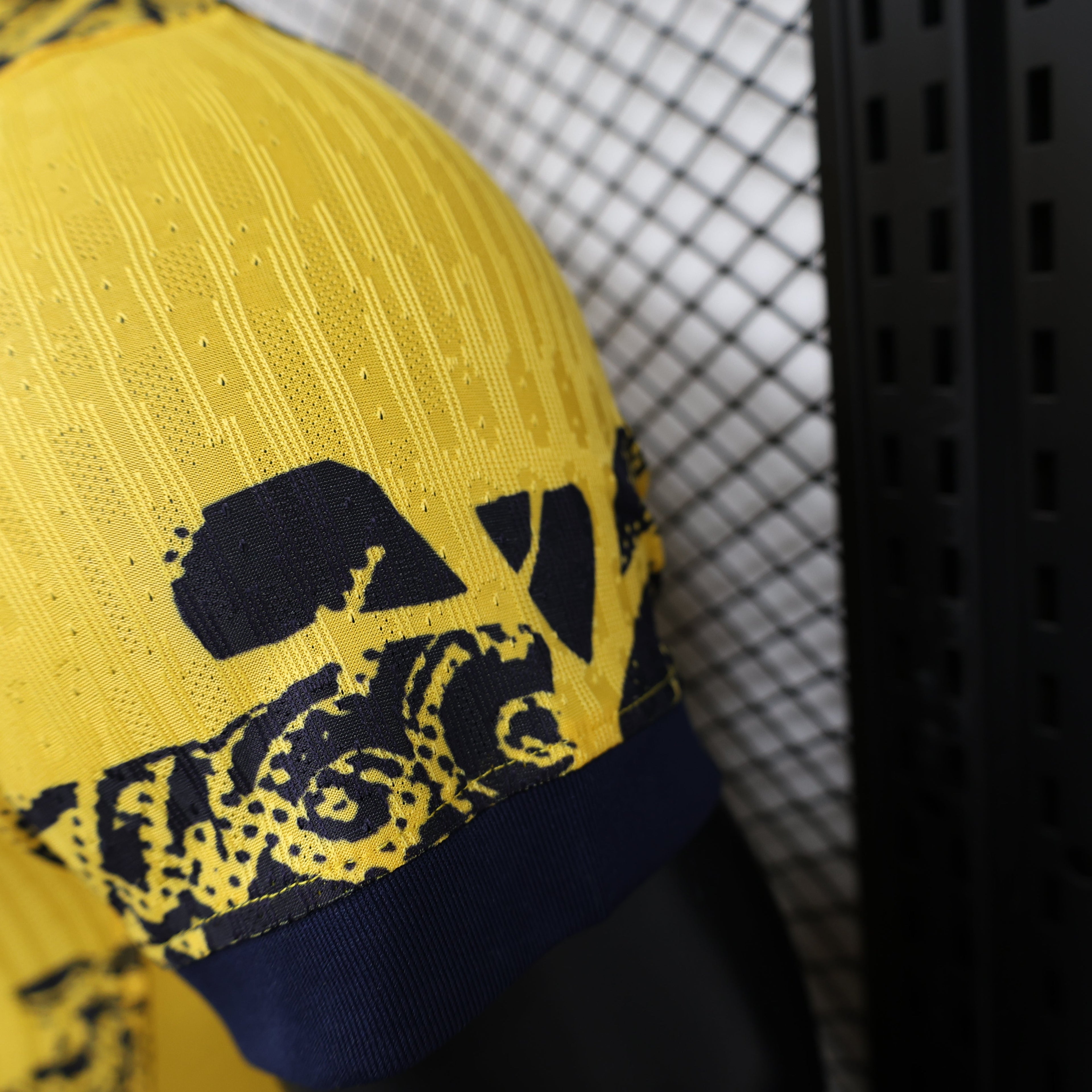 Inter Third 24/25 - Version joueur