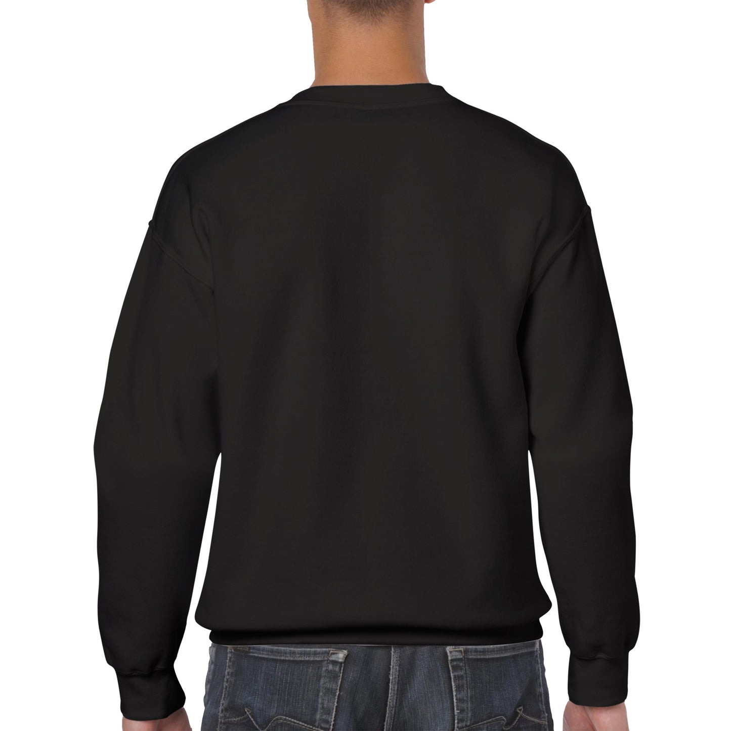 LE ROI | Platini | Sweatshirt stampata