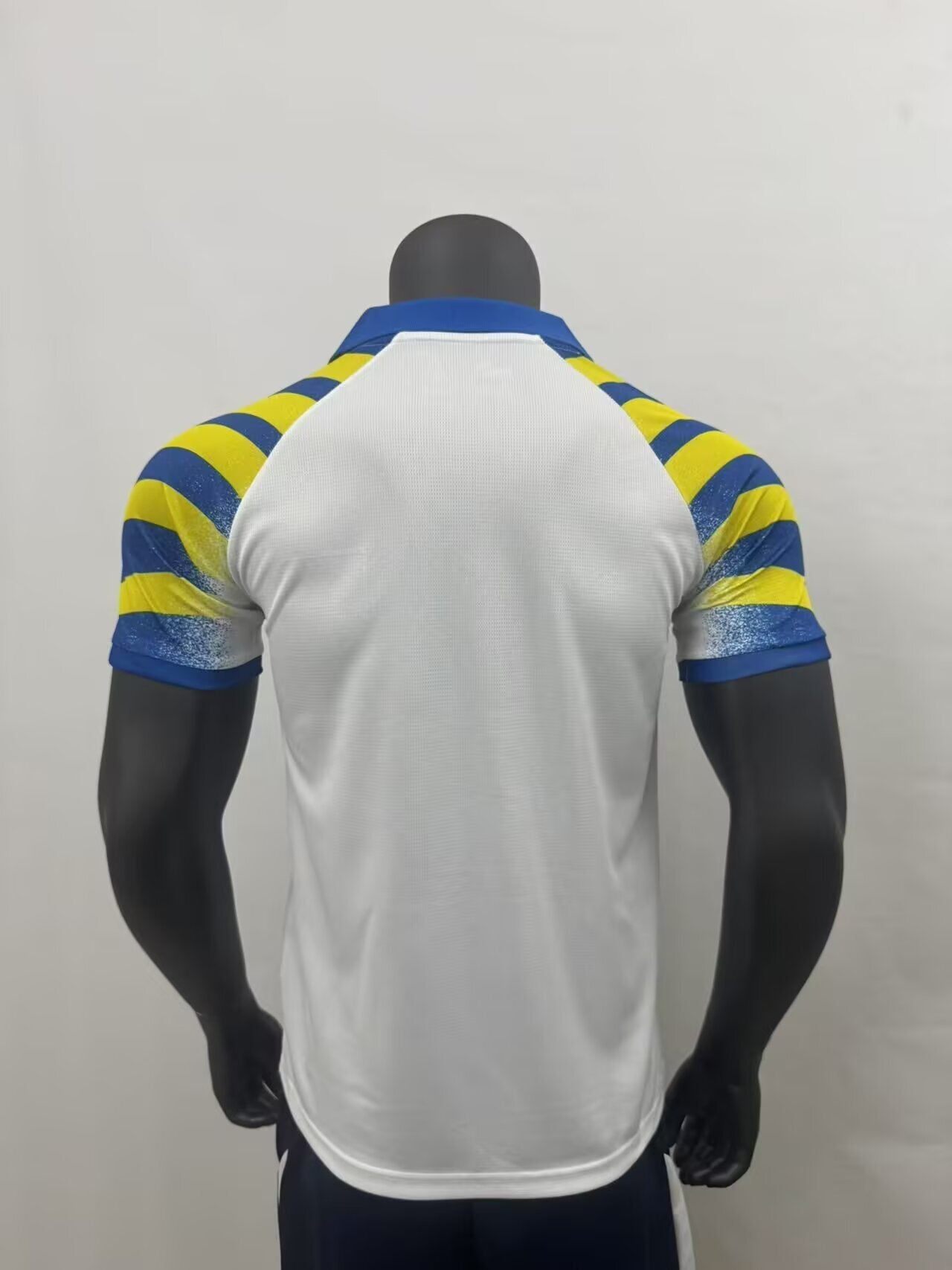 Parma Terza 25/26 - Version Joueur